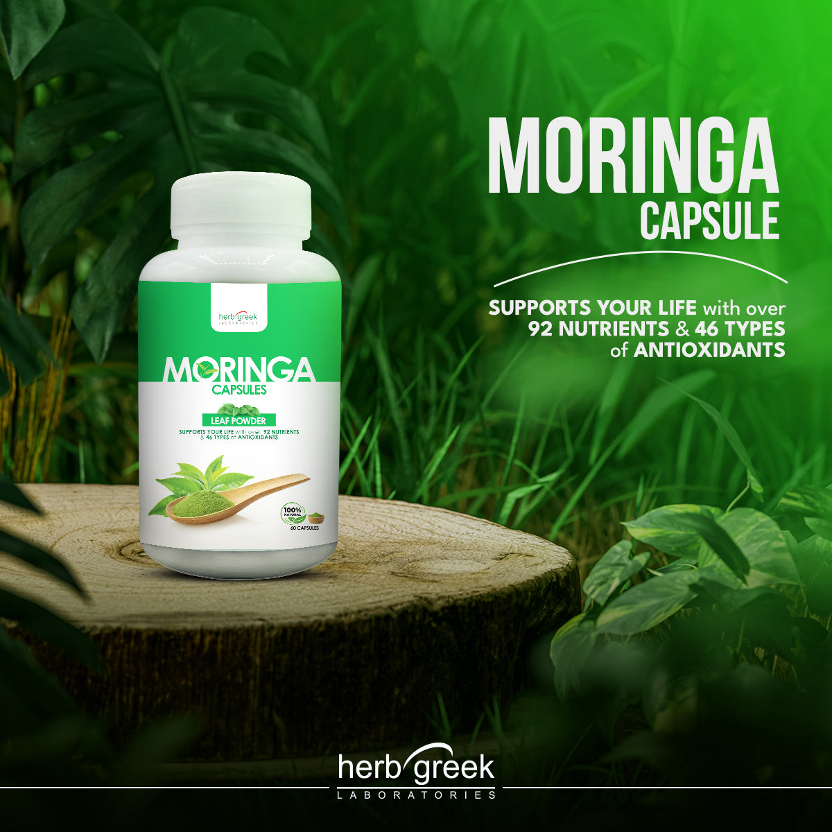 Moringa Powder